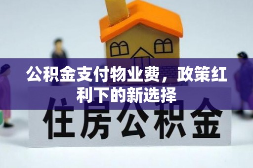 南华公积金支付物业费，政策红利下的新选择