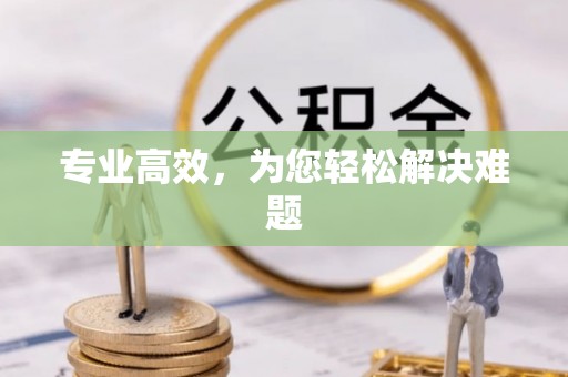 南华专业高效，为您轻松解决难题