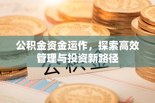 南华公积金资金运作，探索高效管理与投资新路径
