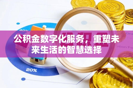 南华公积金数字化服务，重塑未来生活的智慧选择