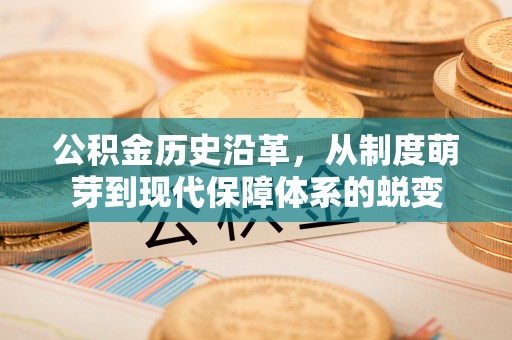 南华公积金历史沿革，从制度萌芽到现代保障体系的蜕变
