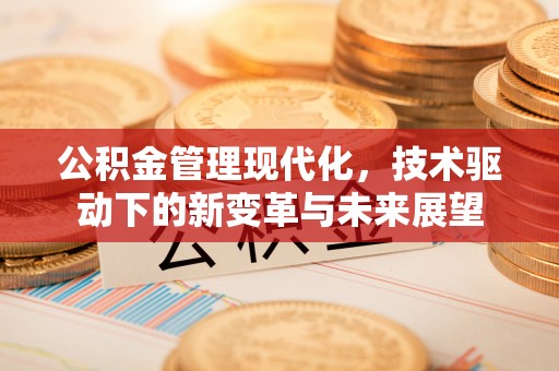 南华公积金管理现代化，技术驱动下的新变革与未来展望