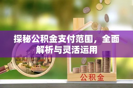 南华探秘公积金支付范围，全面解析与灵活运用