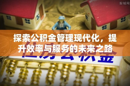 南华探索公积金管理现代化，提升效率与服务的未来之路