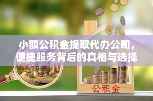 南华小额公积金提取代办公司，便捷服务背后的真相与选择