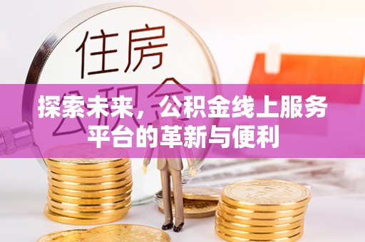 南华探索未来，公积金线上服务平台的革新与便利