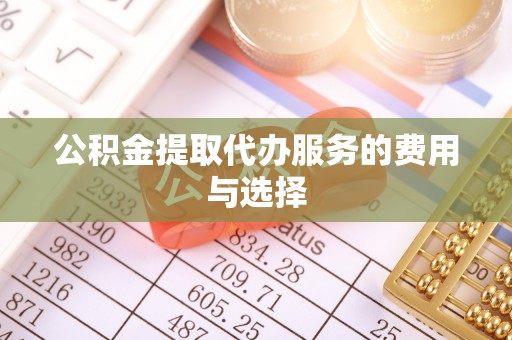 南华公积金提取代办服务的费用与选择