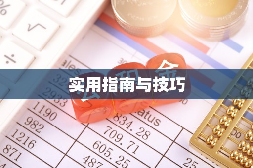 南华实用指南与技巧