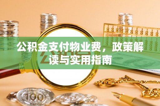 南华公积金支付物业费，政策解读与实用指南