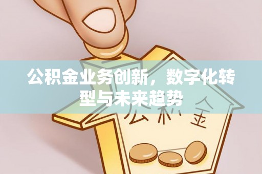 南华公积金业务创新，数字化转型与未来趋势
