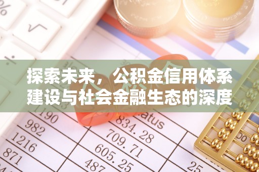 南华探索未来，公积金信用体系建设与社会金融生态的深度融合