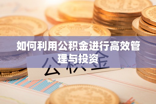 南华如何利用公积金进行高效管理与投资