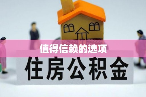 南华值得信赖的选项
