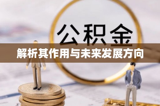 南华解析其作用与未来发展方向