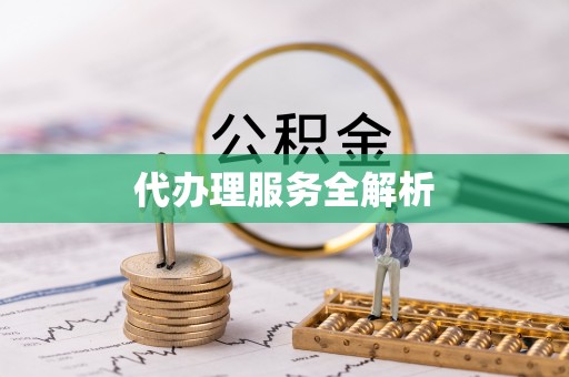 南华代办理服务全解析