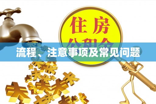 南华流程、注意事项及常见问题
