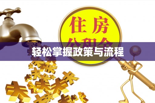 南华轻松掌握政策与流程