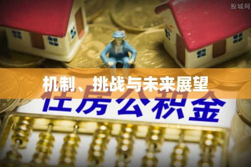 南华机制、挑战与未来展望